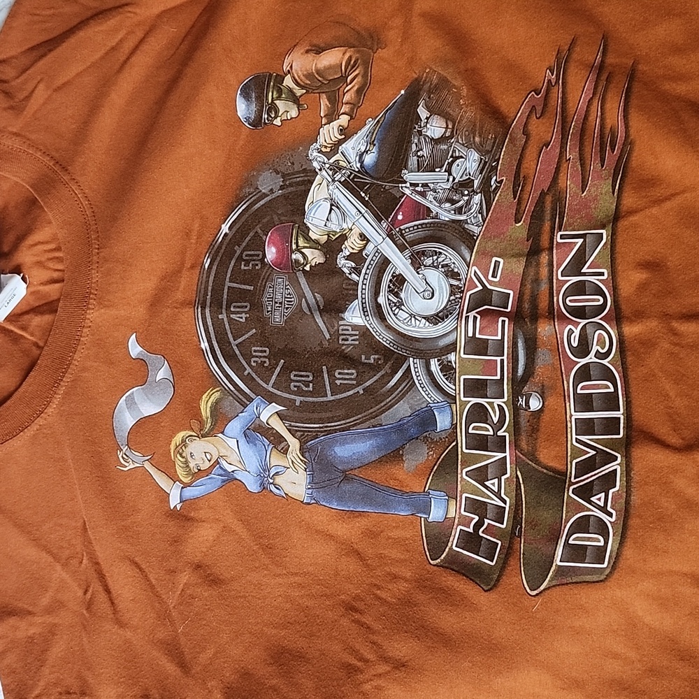 Harley davidson men's short sleeve, large t shirt - Picture 2 of 3